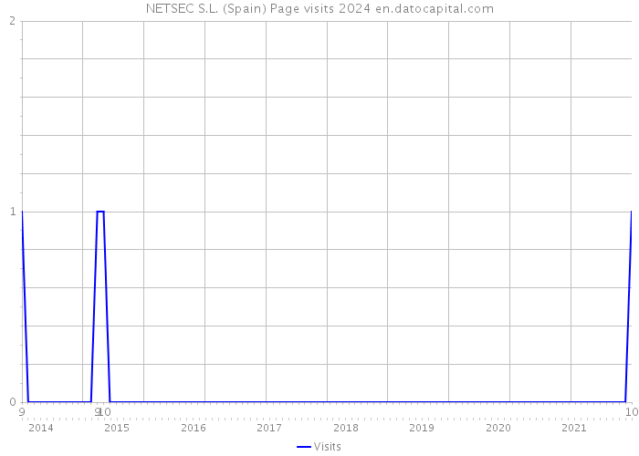 NETSEC S.L. (Spain) Page visits 2024 
