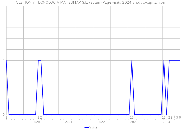 GESTION Y TECNOLOGIA MATZUMAR S.L. (Spain) Page visits 2024 