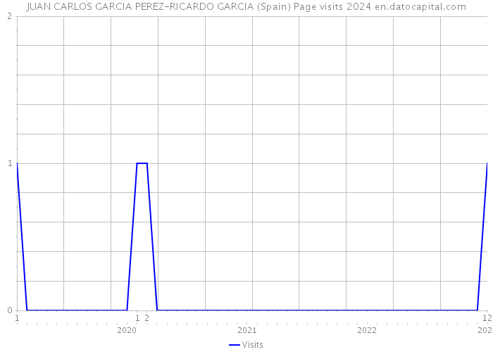 JUAN CARLOS GARCIA PEREZ-RICARDO GARCIA (Spain) Page visits 2024 