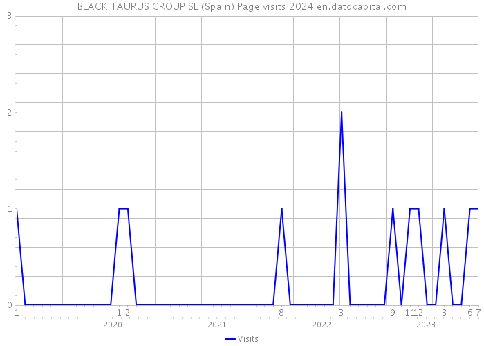 BLACK TAURUS GROUP SL (Spain) Page visits 2024 