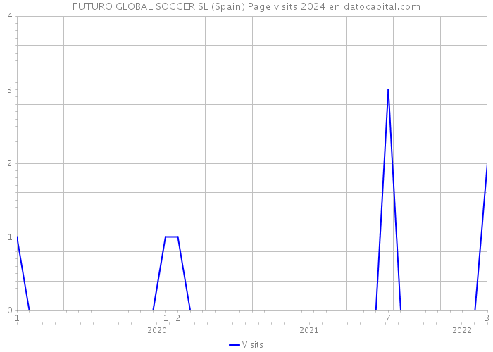 FUTURO GLOBAL SOCCER SL (Spain) Page visits 2024 