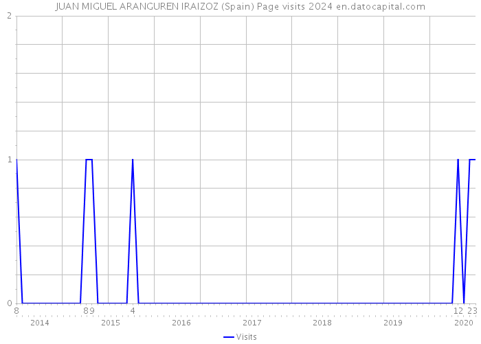 JUAN MIGUEL ARANGUREN IRAIZOZ (Spain) Page visits 2024 