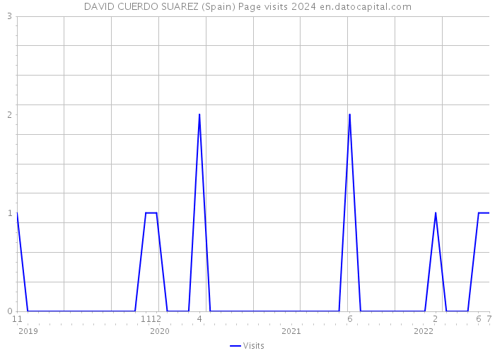 DAVID CUERDO SUAREZ (Spain) Page visits 2024 