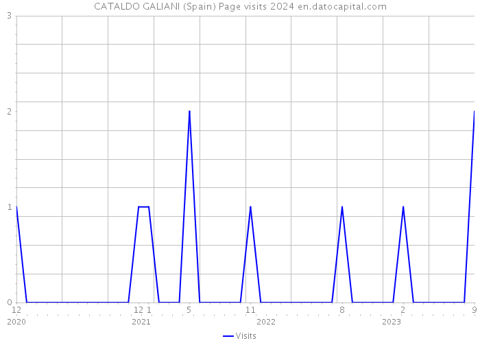 CATALDO GALIANI (Spain) Page visits 2024 