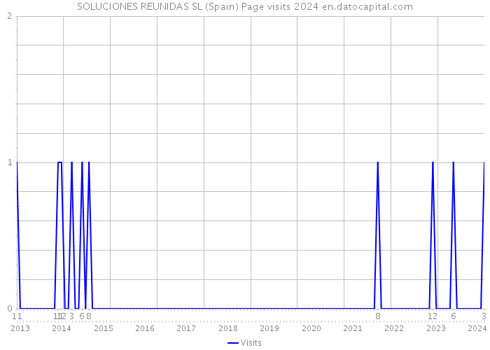 SOLUCIONES REUNIDAS SL (Spain) Page visits 2024 