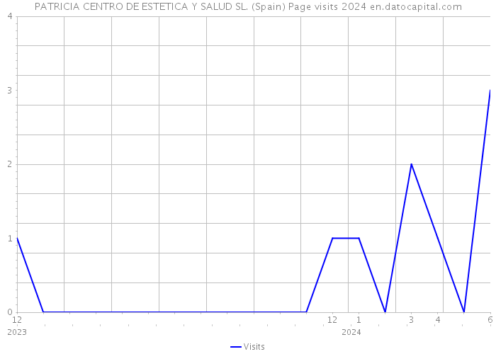 PATRICIA CENTRO DE ESTETICA Y SALUD SL. (Spain) Page visits 2024 