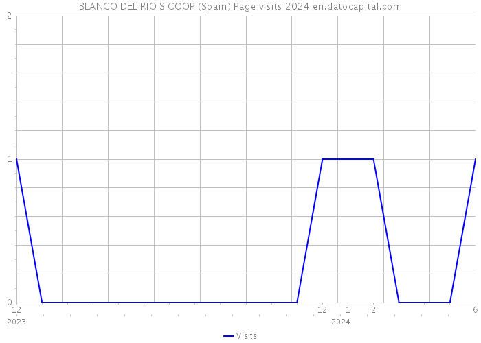 BLANCO DEL RIO S COOP (Spain) Page visits 2024 