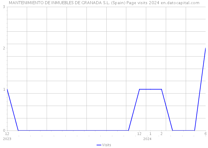 MANTENIMIENTO DE INMUEBLES DE GRANADA S.L. (Spain) Page visits 2024 