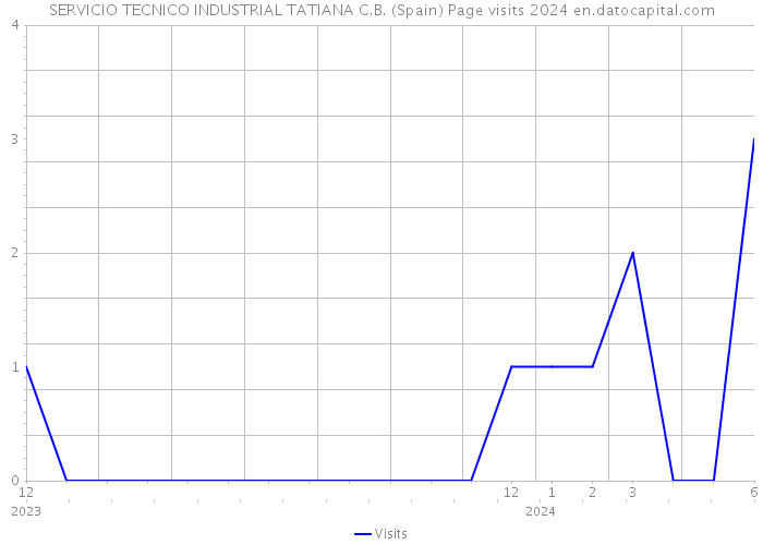 SERVICIO TECNICO INDUSTRIAL TATIANA C.B. (Spain) Page visits 2024 