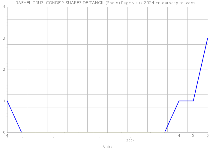 RAFAEL CRUZ-CONDE Y SUAREZ DE TANGIL (Spain) Page visits 2024 