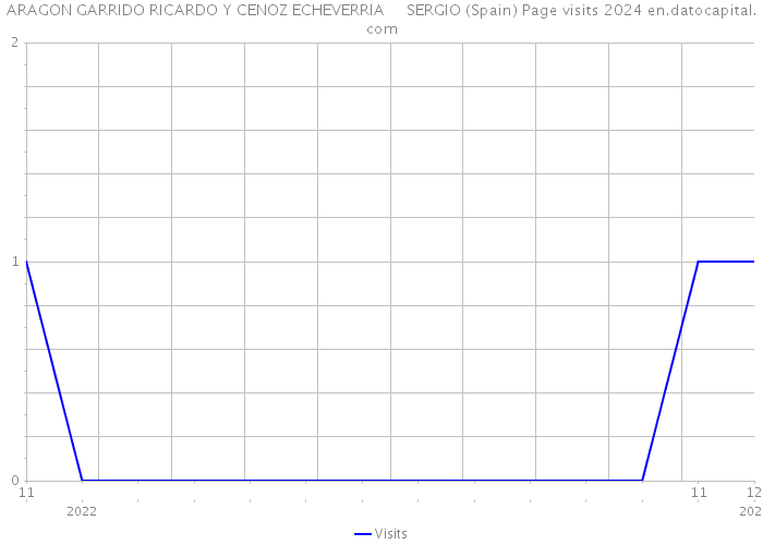 ARAGON GARRIDO RICARDO Y CENOZ ECHEVERRIA SERGIO (Spain) Page visits 2024 