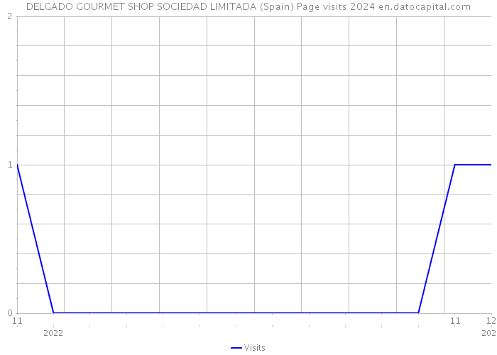 DELGADO GOURMET SHOP SOCIEDAD LIMITADA (Spain) Page visits 2024 