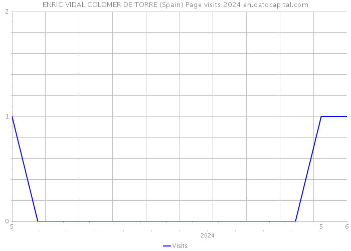 ENRIC VIDAL COLOMER DE TORRE (Spain) Page visits 2024 