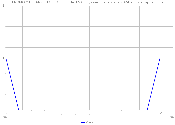 PROMO.Y DESARROLLO PROFESIONALES C.B. (Spain) Page visits 2024 