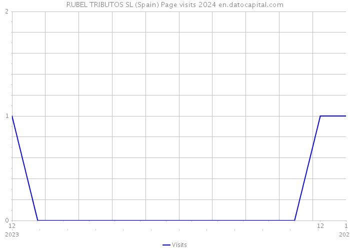 RUBEL TRIBUTOS SL (Spain) Page visits 2024 