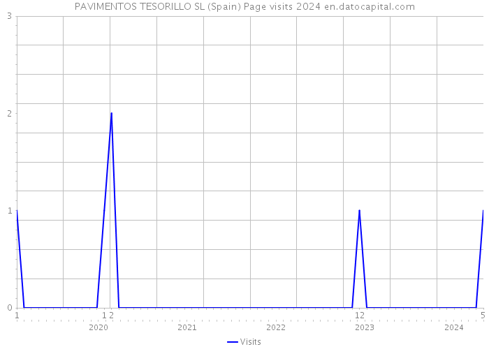 PAVIMENTOS TESORILLO SL (Spain) Page visits 2024 