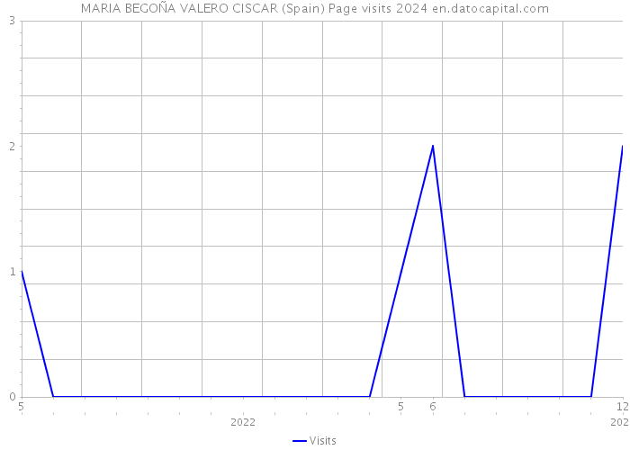 MARIA BEGOÑA VALERO CISCAR (Spain) Page visits 2024 