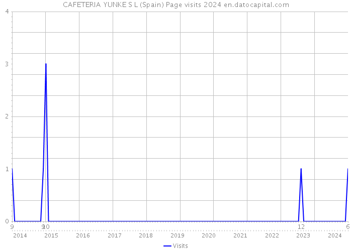 CAFETERIA YUNKE S L (Spain) Page visits 2024 