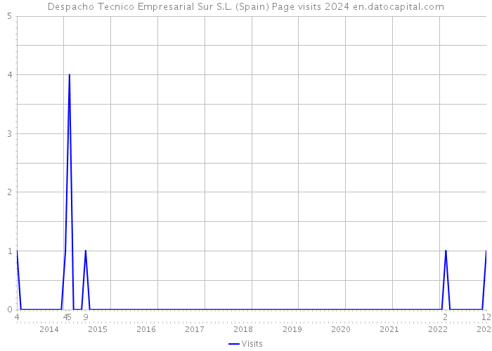 Despacho Tecnico Empresarial Sur S.L. (Spain) Page visits 2024 