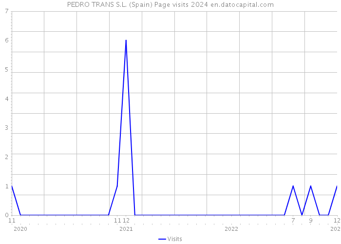 PEDRO TRANS S.L. (Spain) Page visits 2024 