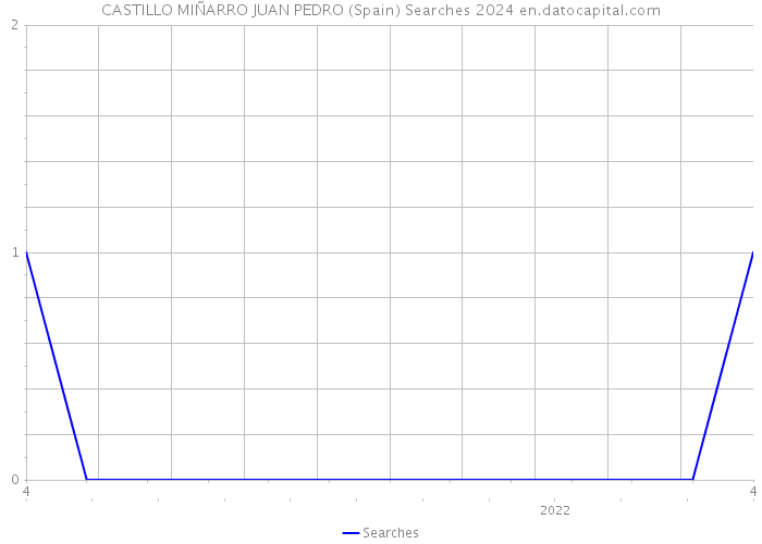 CASTILLO MIÑARRO JUAN PEDRO (Spain) Searches 2024 