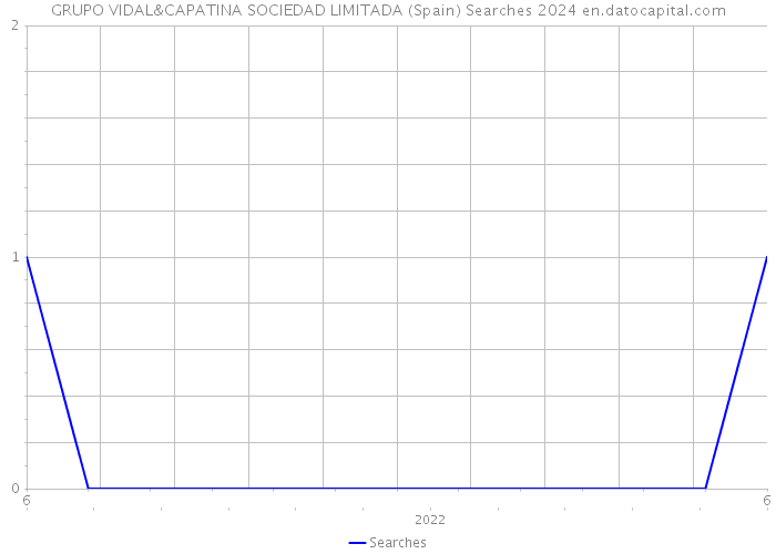 GRUPO VIDAL&CAPATINA SOCIEDAD LIMITADA (Spain) Searches 2024 