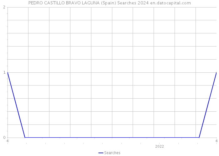 PEDRO CASTILLO BRAVO LAGUNA (Spain) Searches 2024 
