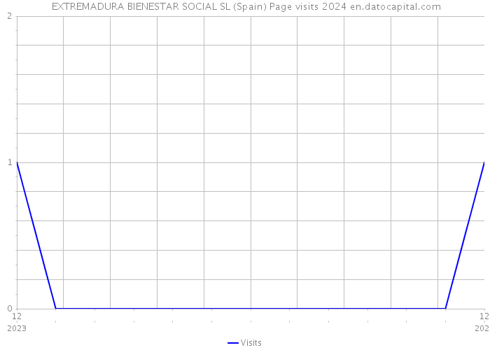  EXTREMADURA BIENESTAR SOCIAL SL (Spain) Page visits 2024 