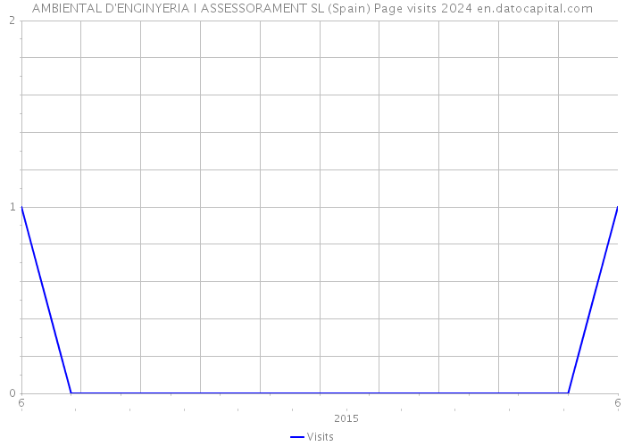 AMBIENTAL D'ENGINYERIA I ASSESSORAMENT SL (Spain) Page visits 2024 