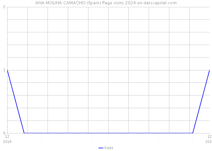 ANA MOLINA CAMACHO (Spain) Page visits 2024 