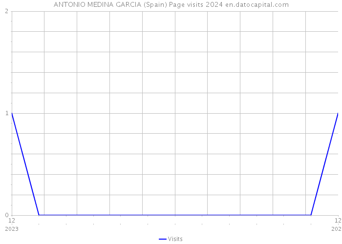 ANTONIO MEDINA GARCIA (Spain) Page visits 2024 