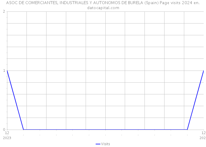 ASOC DE COMERCIANTES, INDUSTRIALES Y AUTONOMOS DE BURELA (Spain) Page visits 2024 