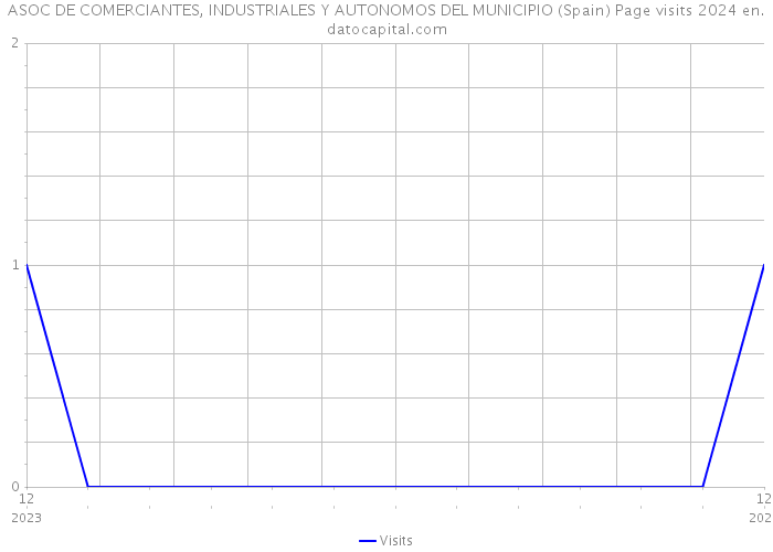 ASOC DE COMERCIANTES, INDUSTRIALES Y AUTONOMOS DEL MUNICIPIO (Spain) Page visits 2024 