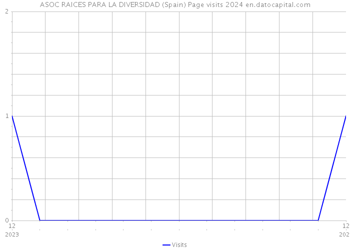 ASOC RAICES PARA LA DIVERSIDAD (Spain) Page visits 2024 