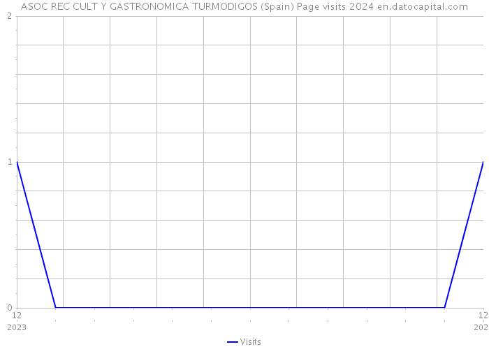 ASOC REC CULT Y GASTRONOMICA TURMODIGOS (Spain) Page visits 2024 