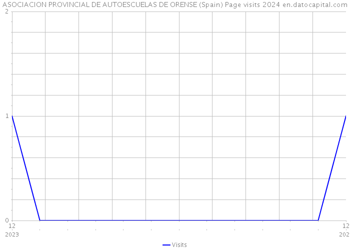 ASOCIACION PROVINCIAL DE AUTOESCUELAS DE ORENSE (Spain) Page visits 2024 