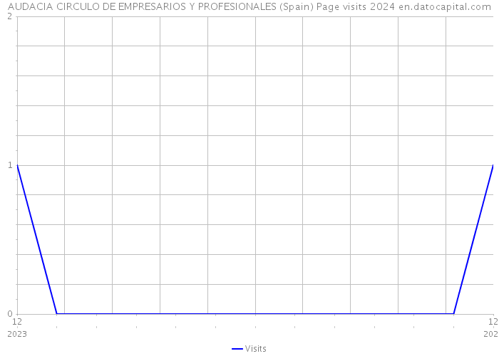 AUDACIA CIRCULO DE EMPRESARIOS Y PROFESIONALES (Spain) Page visits 2024 