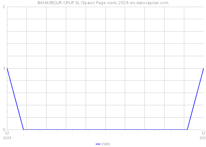 BANASEGUR GRUP SL (Spain) Page visits 2024 