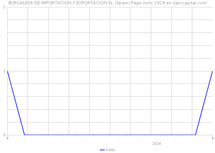 BURGALESA DE IMPORTACION Y EXPORTACION SL. (Spain) Page visits 2024 