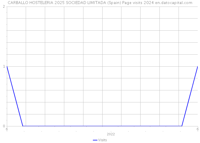 CARBALLO HOSTELERIA 2025 SOCIEDAD LIMITADA (Spain) Page visits 2024 