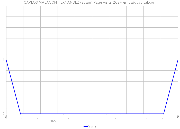 CARLOS MALAGON HERNANDEZ (Spain) Page visits 2024 
