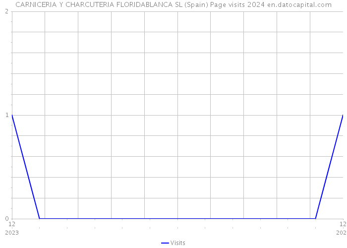 CARNICERIA Y CHARCUTERIA FLORIDABLANCA SL (Spain) Page visits 2024 