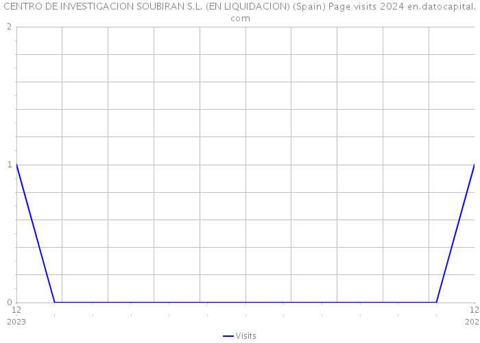 CENTRO DE INVESTIGACION SOUBIRAN S.L. (EN LIQUIDACION) (Spain) Page visits 2024 