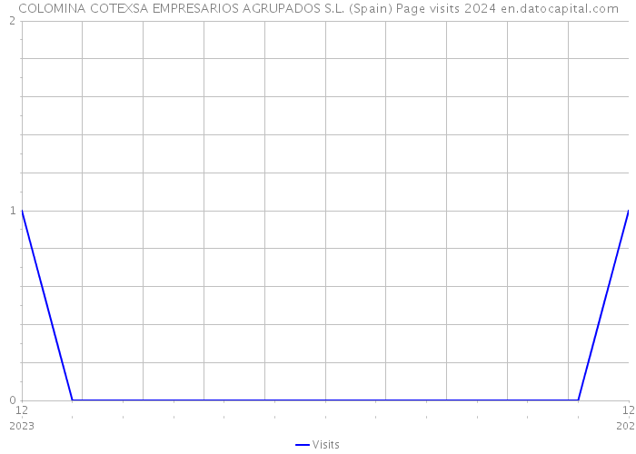 COLOMINA COTEXSA EMPRESARIOS AGRUPADOS S.L. (Spain) Page visits 2024 