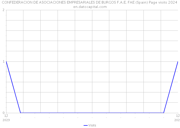 CONFEDERACION DE ASOCIACIONES EMPRESARIALES DE BURGOS F.A.E. FAE (Spain) Page visits 2024 