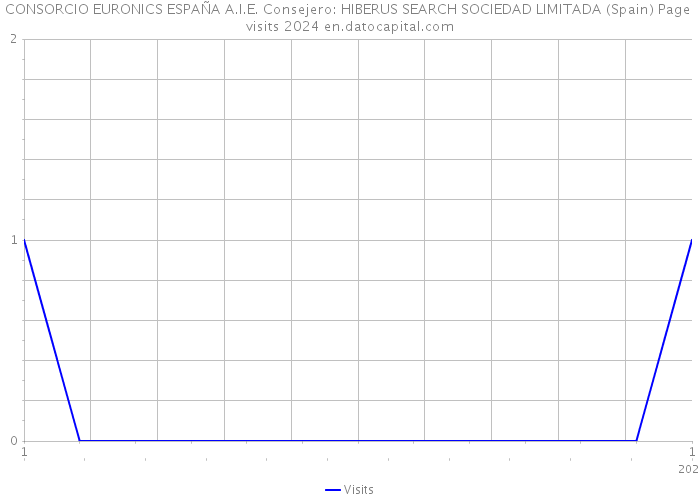 CONSORCIO EURONICS ESPAÑA A.I.E. Consejero: HIBERUS SEARCH SOCIEDAD LIMITADA (Spain) Page visits 2024 