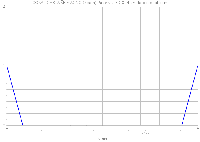 CORAL CASTAÑE MAGNO (Spain) Page visits 2024 