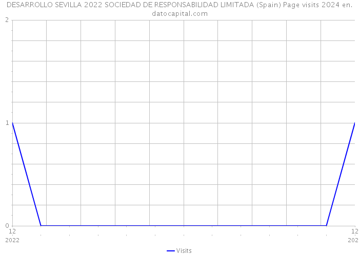 DESARROLLO SEVILLA 2022 SOCIEDAD DE RESPONSABILIDAD LIMITADA (Spain) Page visits 2024 