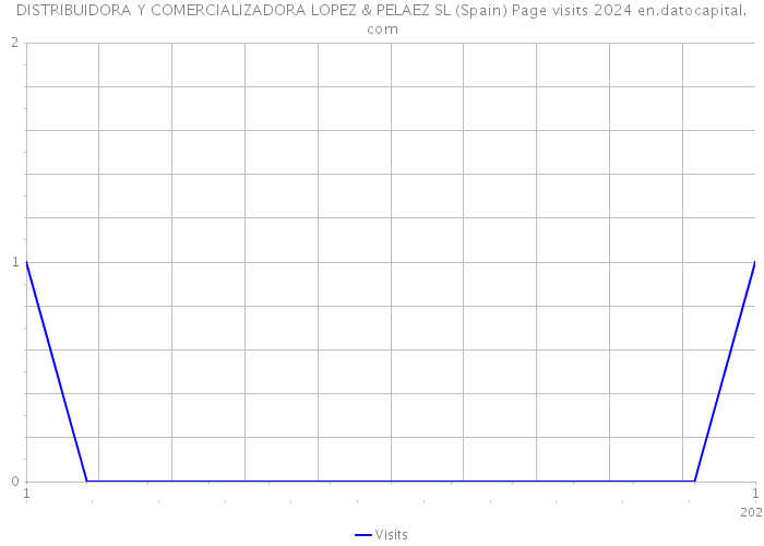 DISTRIBUIDORA Y COMERCIALIZADORA LOPEZ & PELAEZ SL (Spain) Page visits 2024 