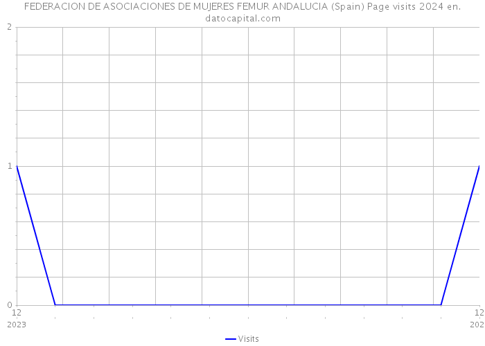 FEDERACION DE ASOCIACIONES DE MUJERES FEMUR ANDALUCIA (Spain) Page visits 2024 